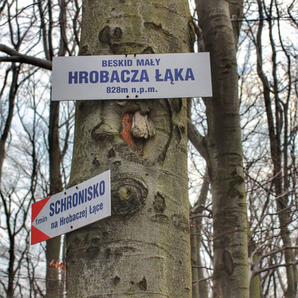 Biała tabliczka z napisem Beskid Mały, Hrobacza Łąka 828 m n.p.m. wisząca na drzewie, oznaczenie czerwonego szlaku