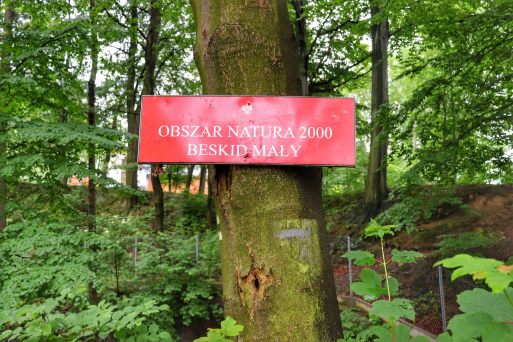 Czerwona tabliczka z napisem Obszar Natura 2000 BESKID MAŁY na czarnym szlaku na Hrobaczą Łąkę, Lipnik