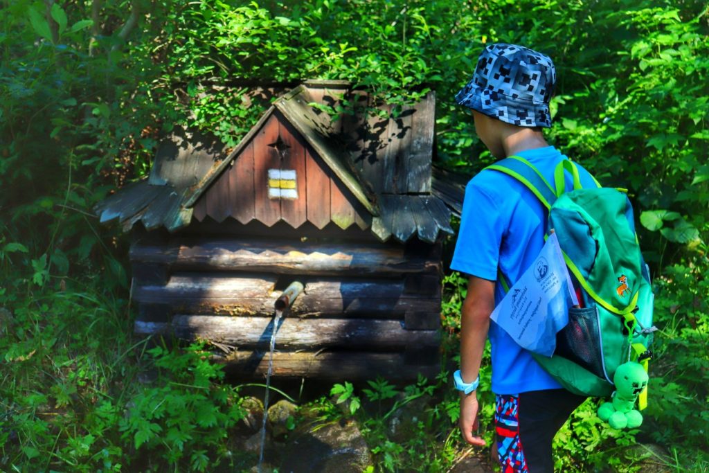Dziecko, górskie źródełko w lesie na żóltym szlaku wiodącym nad Batyżowiecki Staw w Tatrach Wysokich na Słowacji
