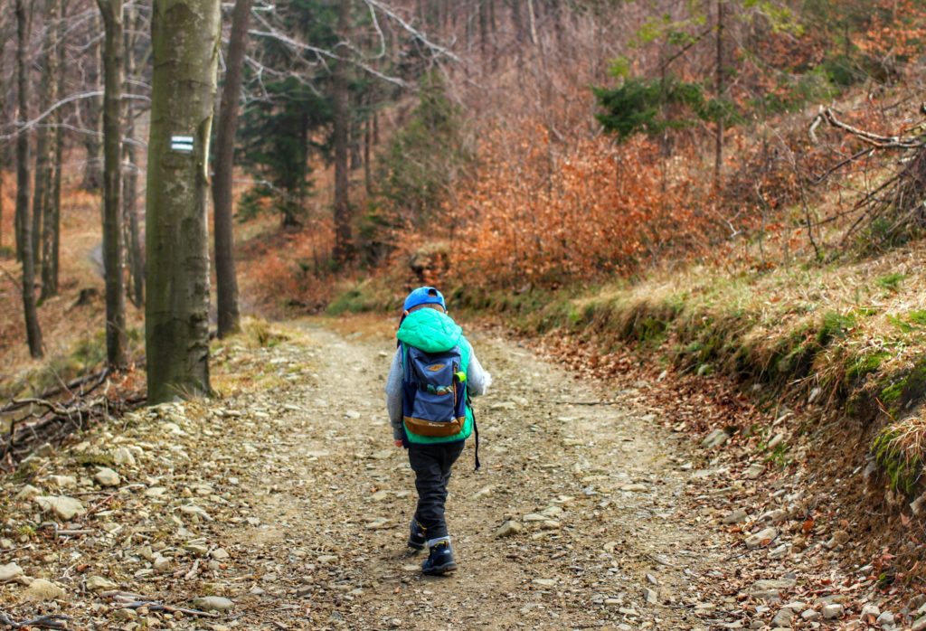 Dziecko idące czarnym szlakiem, szeroka, leśna droga