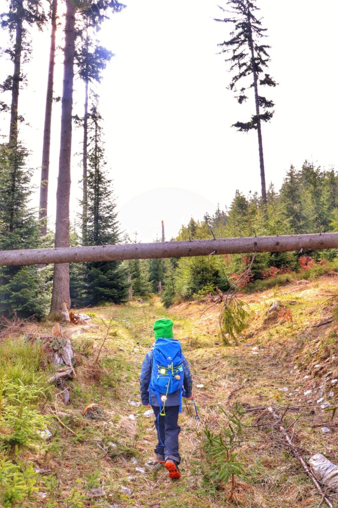 Dziecko, leśna ścieżka w Beskidzie Żywieckim, złamane drzewo