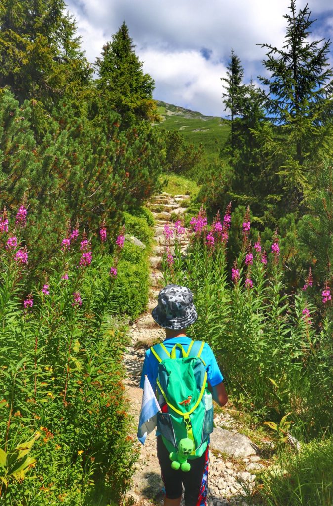 Dziecko na wąskiej ścieżce w Tatrach Wysokich na Słowacji