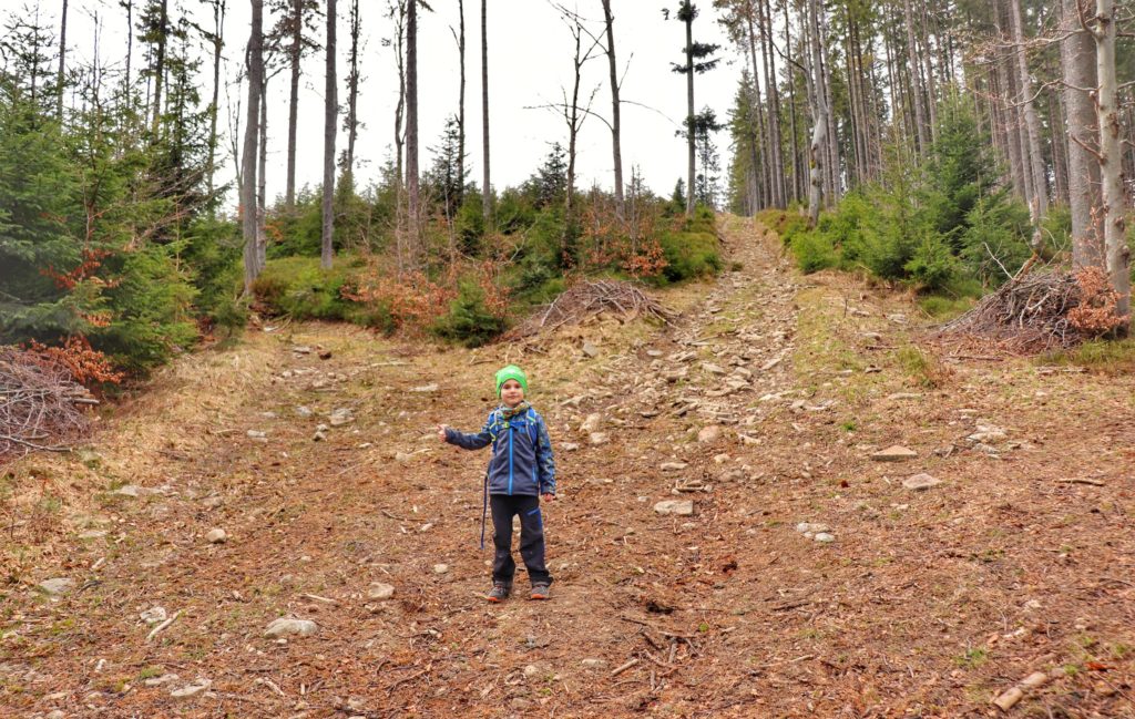 Dziecko pokazujące rączką, że należy skręcić w lewo na rozwidleniu dróg, las - Sopotnia Wielka