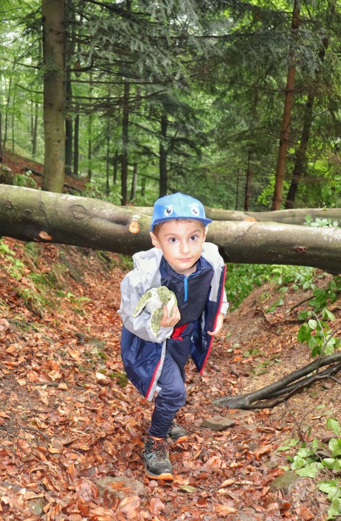 Dziecko przechodzące pod ściętym drzewem na szlaku w Beskidzie Małym