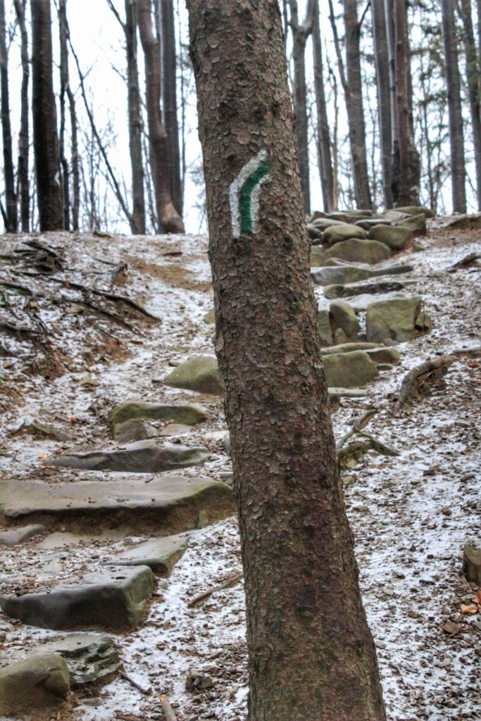 Kamienne schody, zielony szlak (miejsce odbicia szlaku w prawo) idący do schroniska Markowe Szczawiny