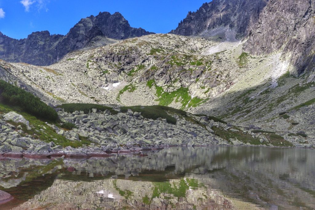 Lato na Batyżowieckim Stawem