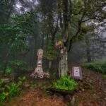 Przełęcz u Panienki - Beskid Mały