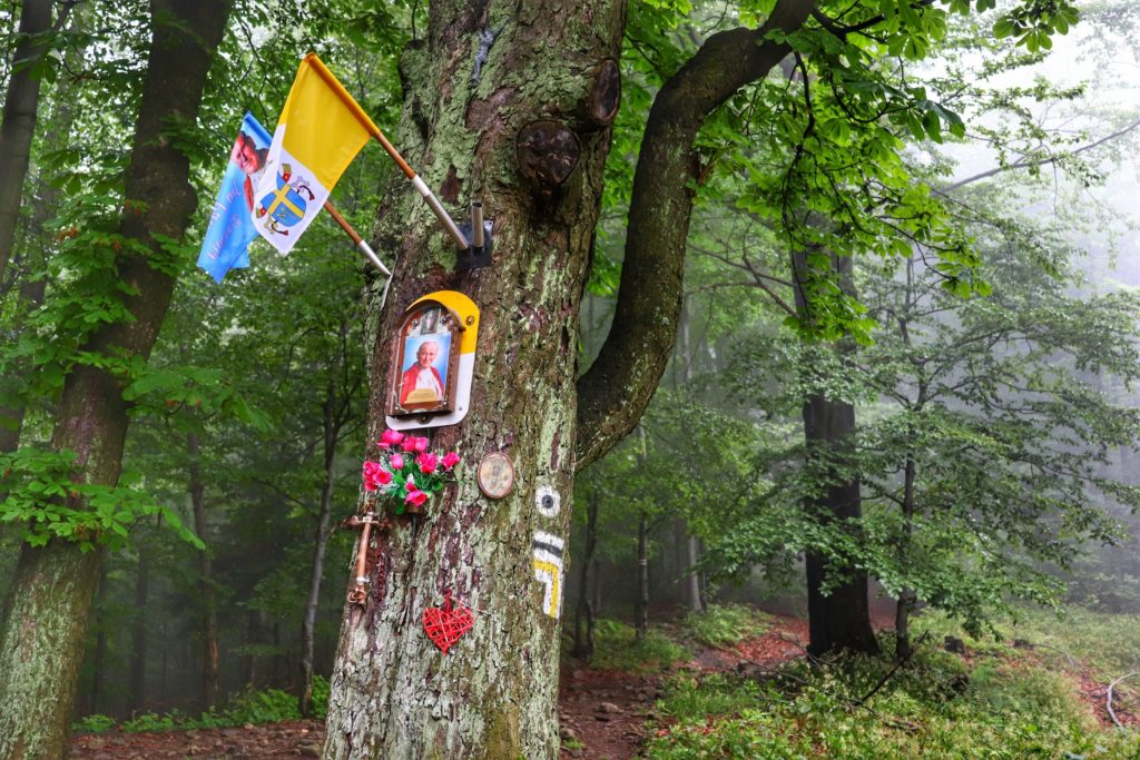 Przełęcz u Panienki, kapliczka leśna, Papież Jan Paweł II