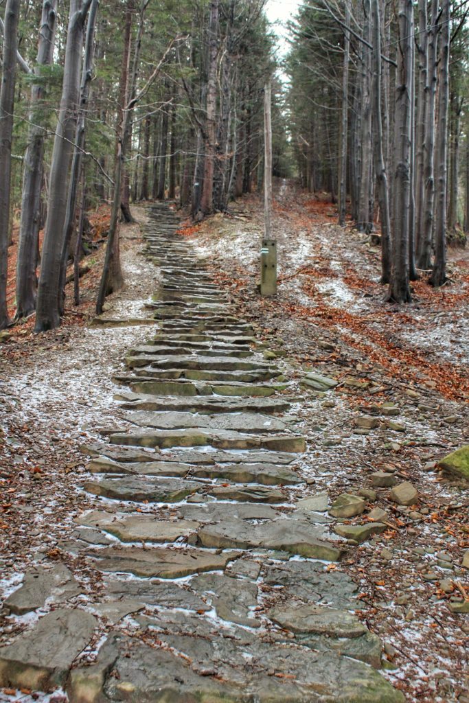 Strome schody na zielonym szlaku prowadzącym przez las do Schroniska PTTK Markowe Szczawiny