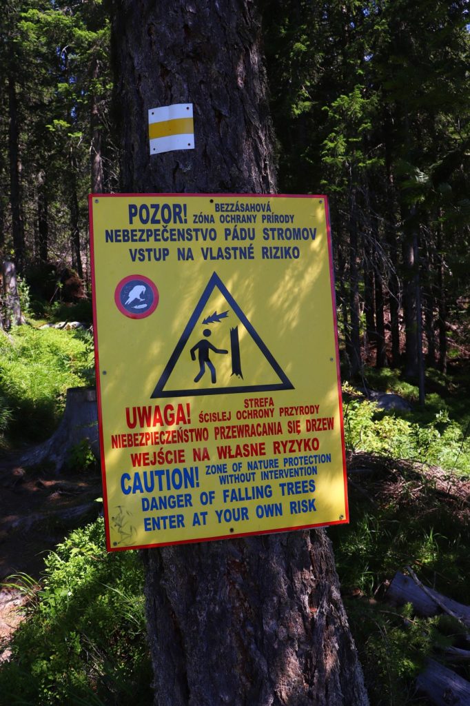 Szlak żółty w Dolinie Batyżowieckiej, żółta tablica wisząca na drzewie z napisem Uwaga, teren ścisłej ochrony przyrody