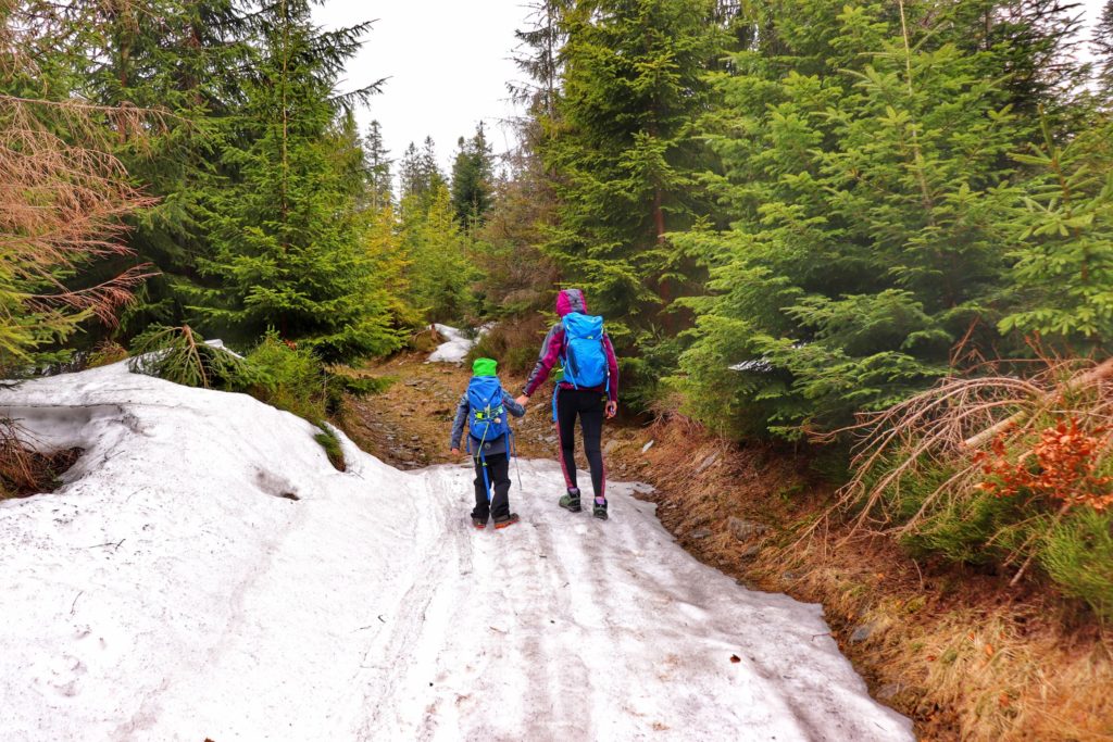 Turystka idąca z dzieckiem szeroką, leśną ścieżką pokrytą miejscami przez śnieg