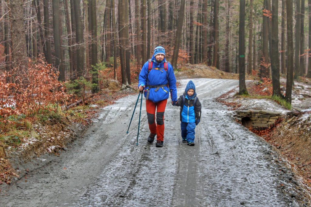 Turysta idący z małym dzieckiem szeroką drogą prowadzącą przez las, październikowy poranek, Zawoja Markowe