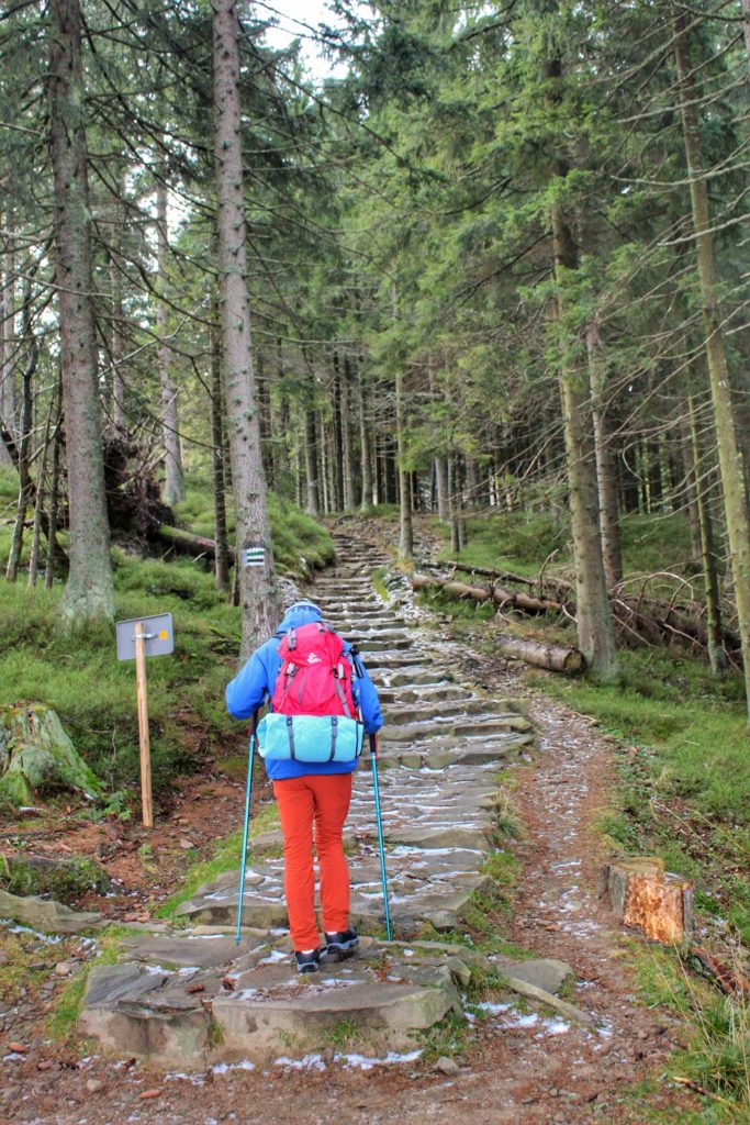 Turysta na zielono - czarnym szlaku prowadzącym do schroniska Markowe Szczawiny, strome, kamienne schody idące przez las