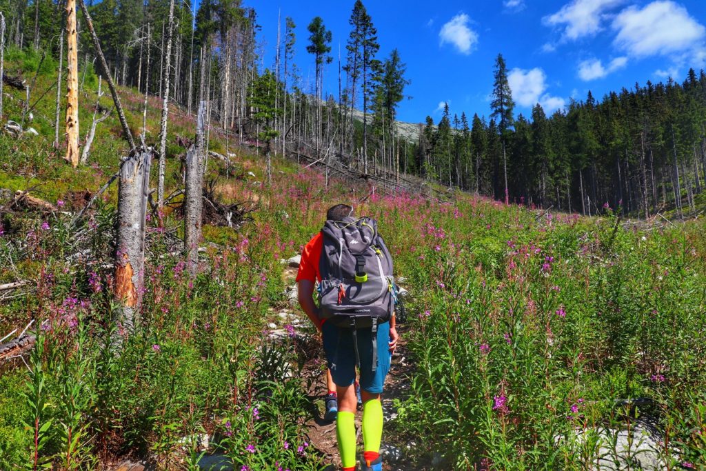 Turysta, podejście na szlaku żółtym w Wyżnie Hagi - Tatry Wysokie