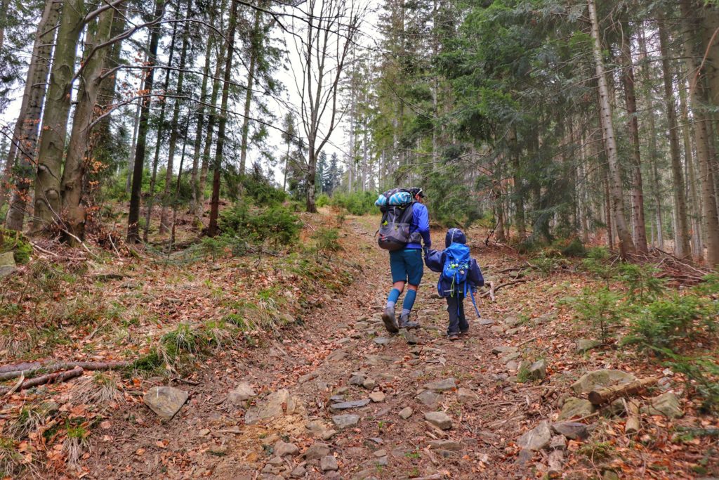 Turysta z dzieckiem idący pnącą się w górę leśną ścieżką