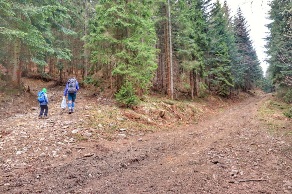 Turysta z dzieckiem odbijający w lewo na ścieżkę leśną z szerokiej drogi pożarowej