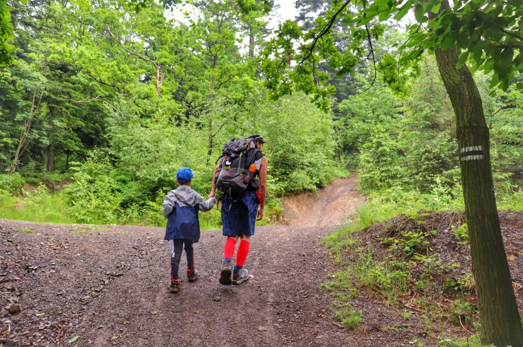 Turysta z dzieckiem wędrujący czarnym szlakiem w kierunku Przełęczy u Panienki w Beskidzie Małym, leśna ścieżka