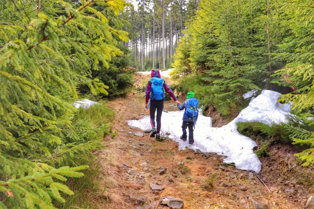 Turyści, mama z dzieckiem wędrująca szeroką ścieżką prowadzącą przez las, wczesna wiosna, zalegający na ścieżce śnieg