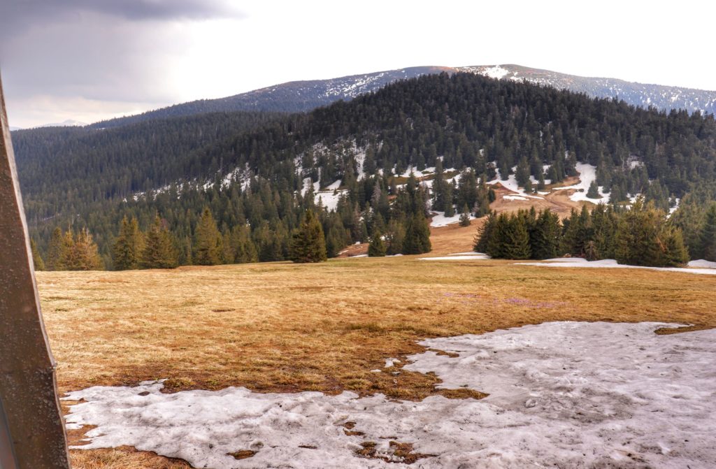 Widok na Halę Cudzichową, krokusy, śnieg, krajobraz górski