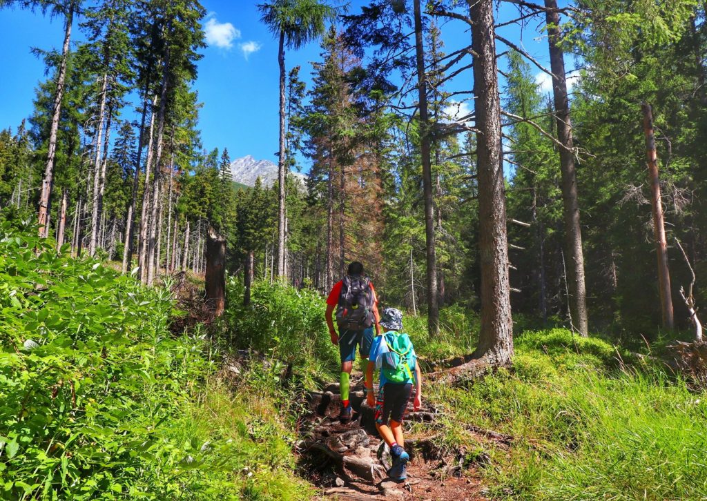 Wąska leśna ścieżka - żółty szlak - Wyżnie Hagi, turysta z dzieckiem