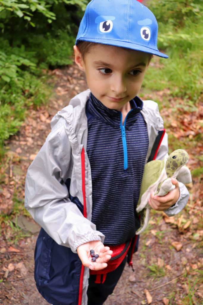 Zadowolone dziecko trzymające w jednej rączce borówki, w drugiej pluszowego żółwia, las