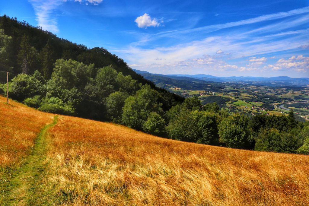 Ścieżka prowadząca przez polanę Kretówki, widok na rzekę Poprad