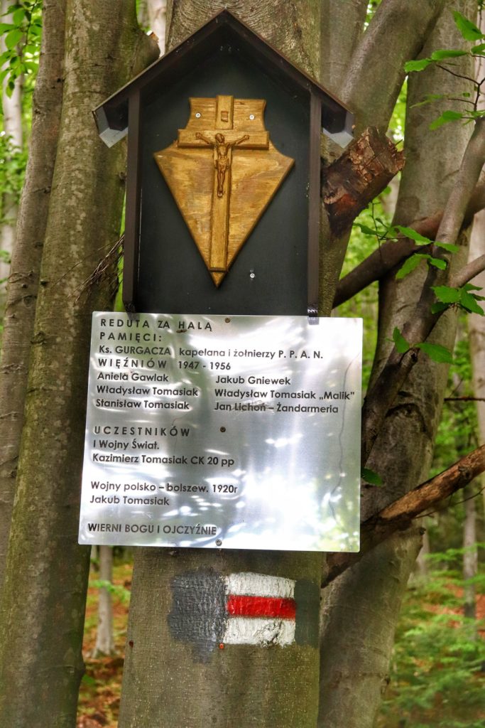 Drzewo, reduta za Halą pamięci żołnierzy biorącym udzial w pierwszej Wojnie Światowej, czerwony szlak koło schroniska Cyrla