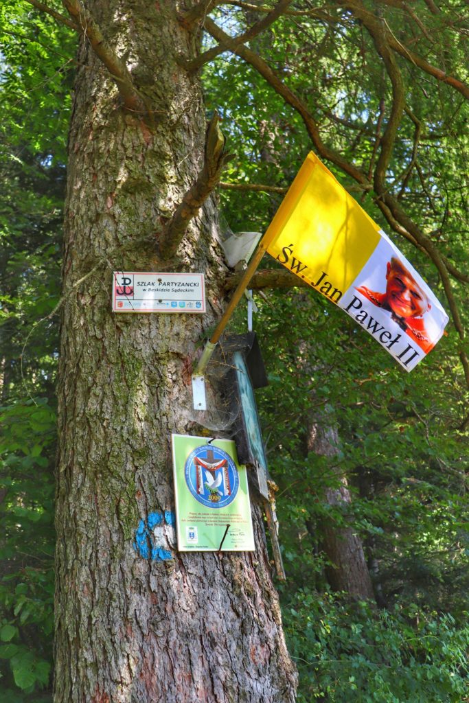 Flaga - zdjęcie Jana Pawła II na drzewie stojącym na Polanie Kretówki, na szlaku czerwonym