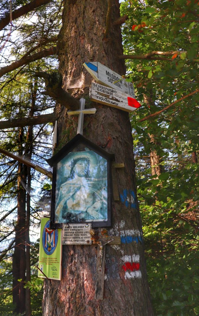 Nadrzewna kapliczka na Polanie Kretówki, na czerwonym szlaku prowadzącym ze wsi Rytro