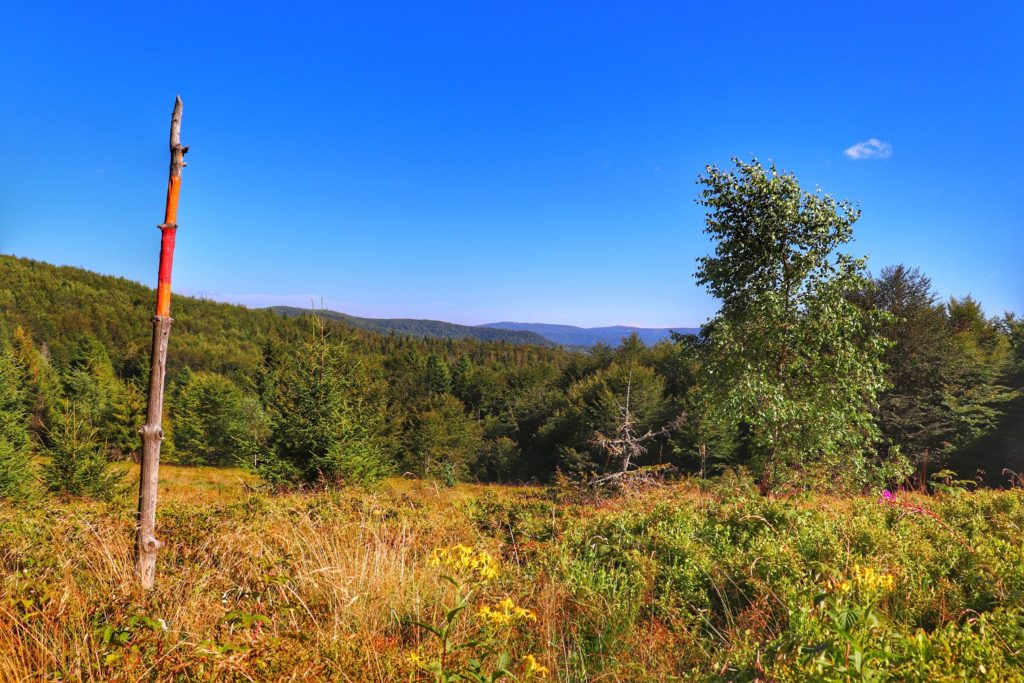 Polana Pisana - krajobraz rozciągający się z polany w Beskidzie Sądeckim, błękitne niebo