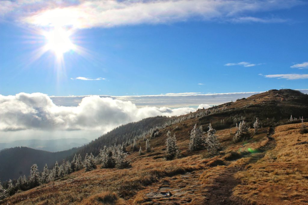 Słoneczny, październikowy dzień na szlaku na Małą Babią Górę, zmrożone drzewka, widok w kierunku Małej Babiej Góry