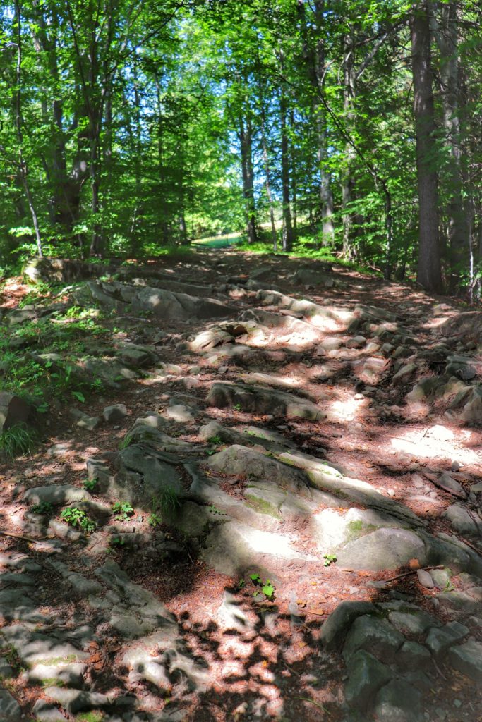 Skalne podejście na czerwonym szlaku biegnącym do schroniska Cyrla, słoneczny dzień, las