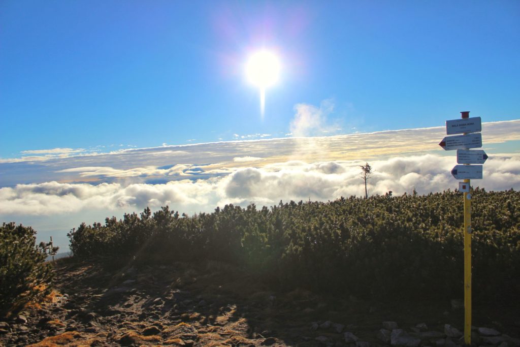 Szczyt w Beskidzie Żywieckim - Mała Babia Góra, słup z drogowskazami, morze chmur oświetlone przez październikowe słońce