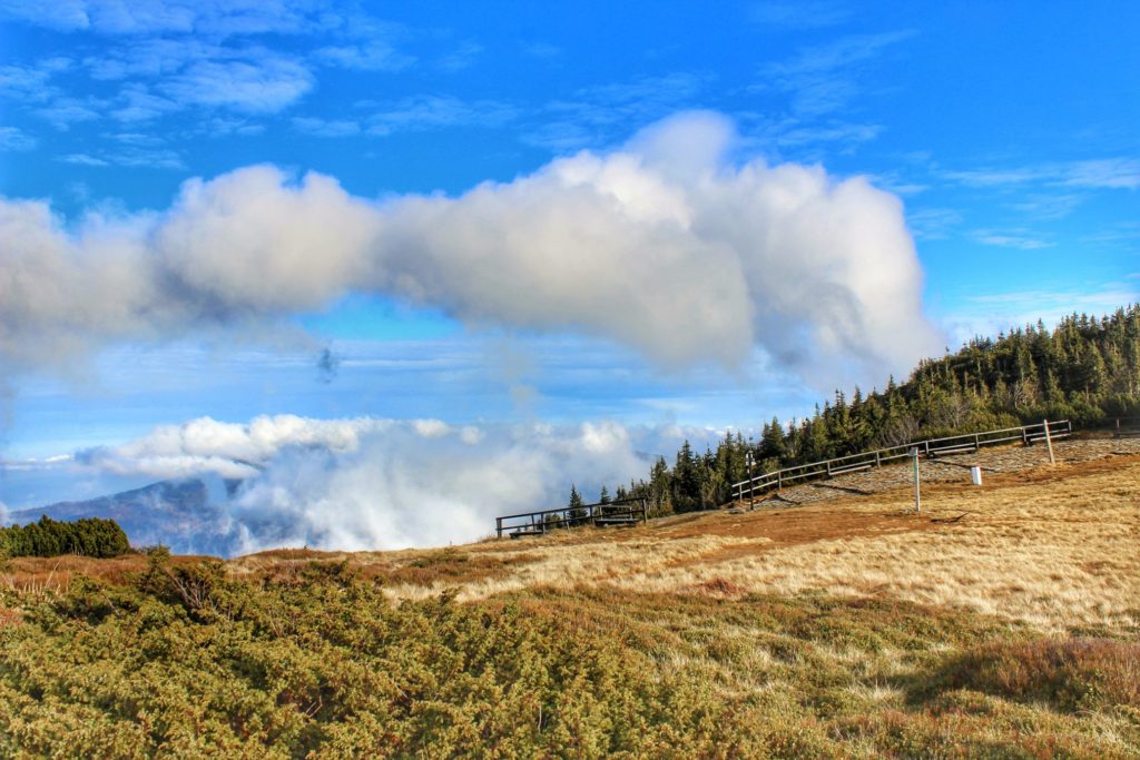 Widok na taras widokowy, Przełęcz Brona ze szlaku idącego na Małą Babią Górę, piękne niebieskie niebo z białymi obłokami