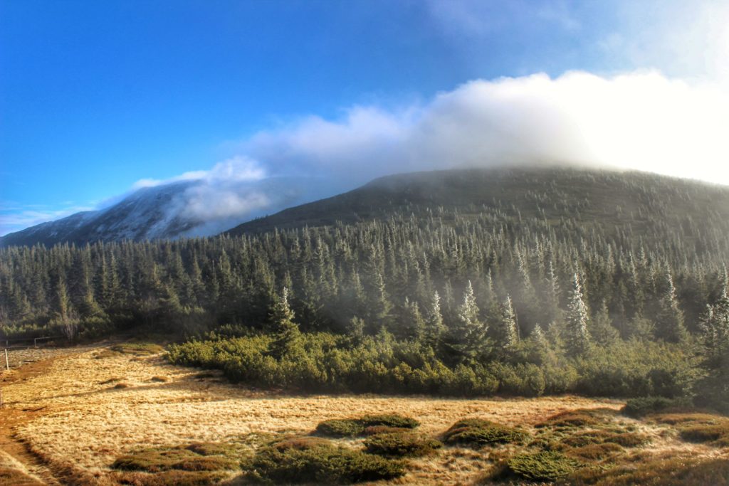 Widok z trasy na Małą Babią Górę na pasmo Babiej Góry, mgła