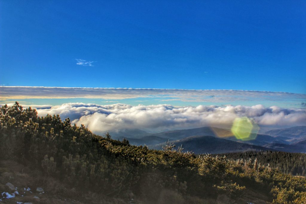 Widok ze szczytu Małej Babiej Góry, morze chmur, krajobraz górski, kosodrzewina