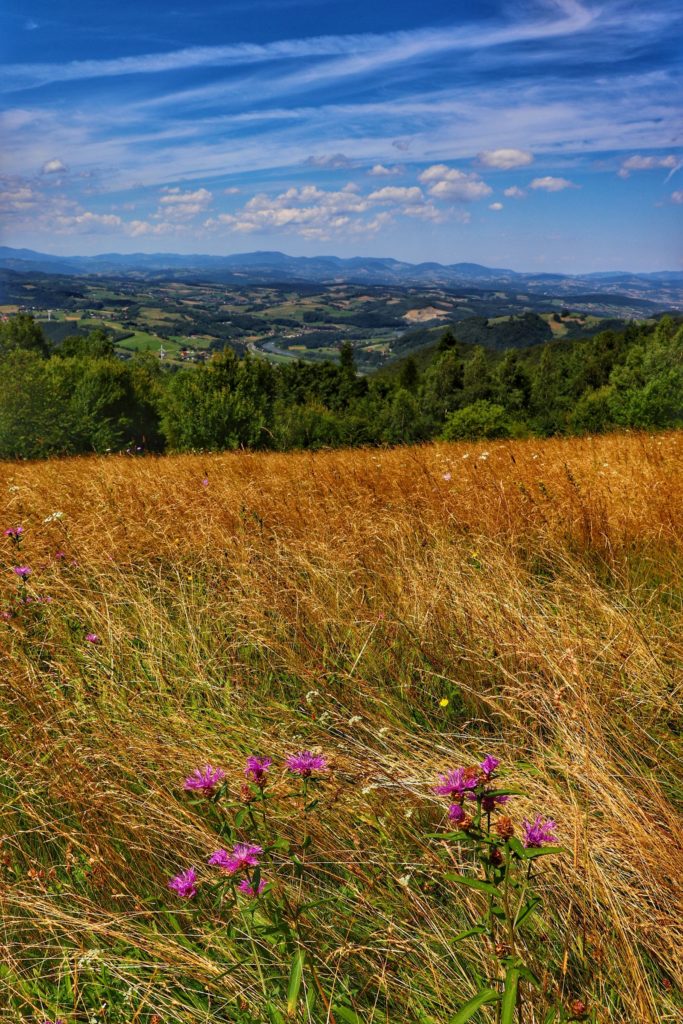 Wspaniała Polana Kretówki w letnim wydaniu, widok na Poprad, polne kwiaty, na niebie chmury rozwiane przez wiatr