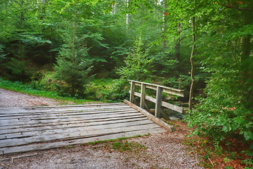 Drewniany mostek na żółtym szlaku prowadzącym do Schroniska pod Łabskim Szczytem, leśna droga