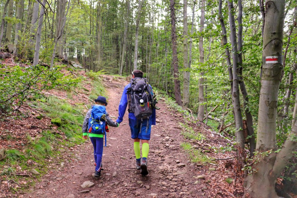 Dziecko trzymające tatę za rękę, szeroka leśna ścieżka na czerwonym szlaku prowadzącym na Halę Pisaną w Beskidzie Sądeckim'