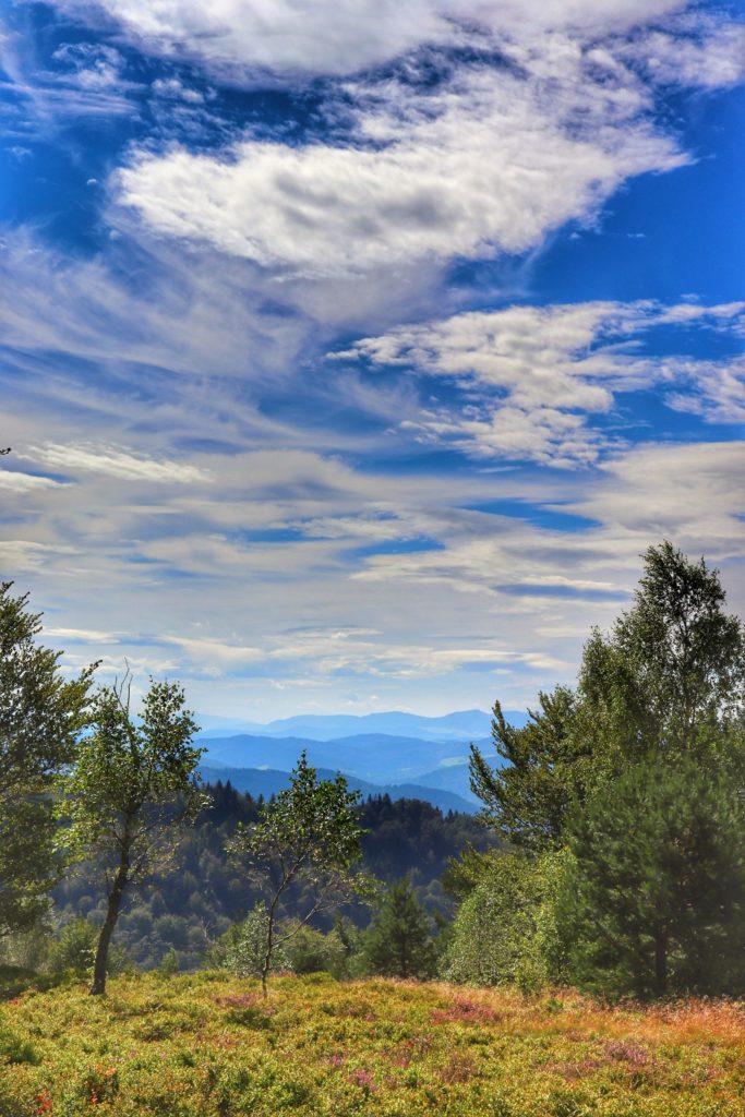 Hala Jaworzyna w letnim wydaniu, w oddali widok na góry, na niebie białe chmury rozwiane przez wiatr