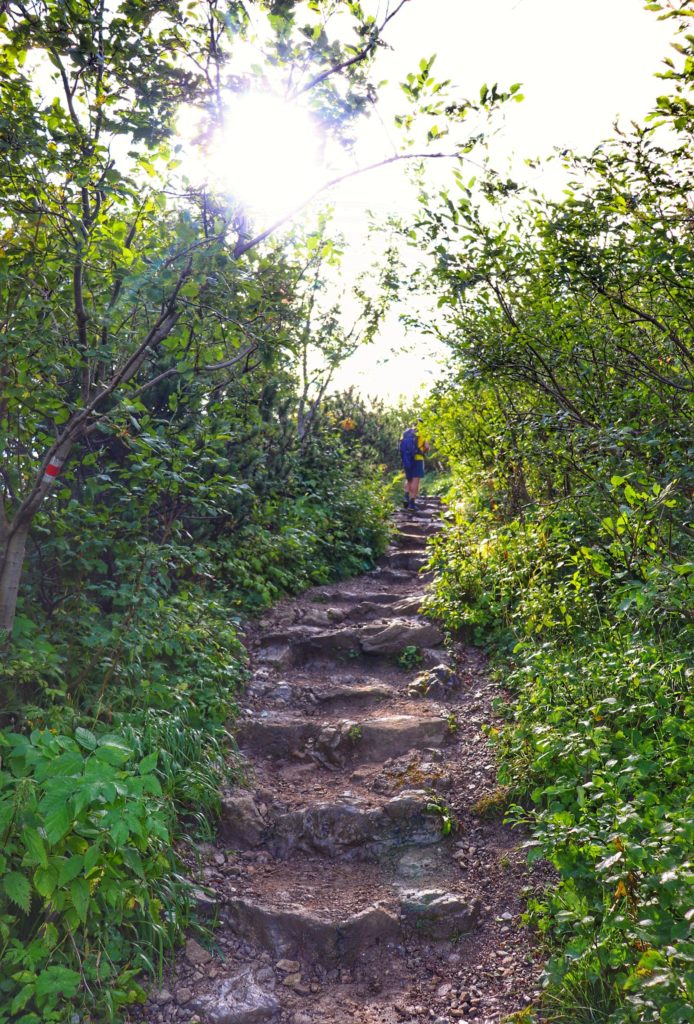 Kamienne schody na czerwonym szlaku na Czerwone Wierchy, wąska ścieżka leśna