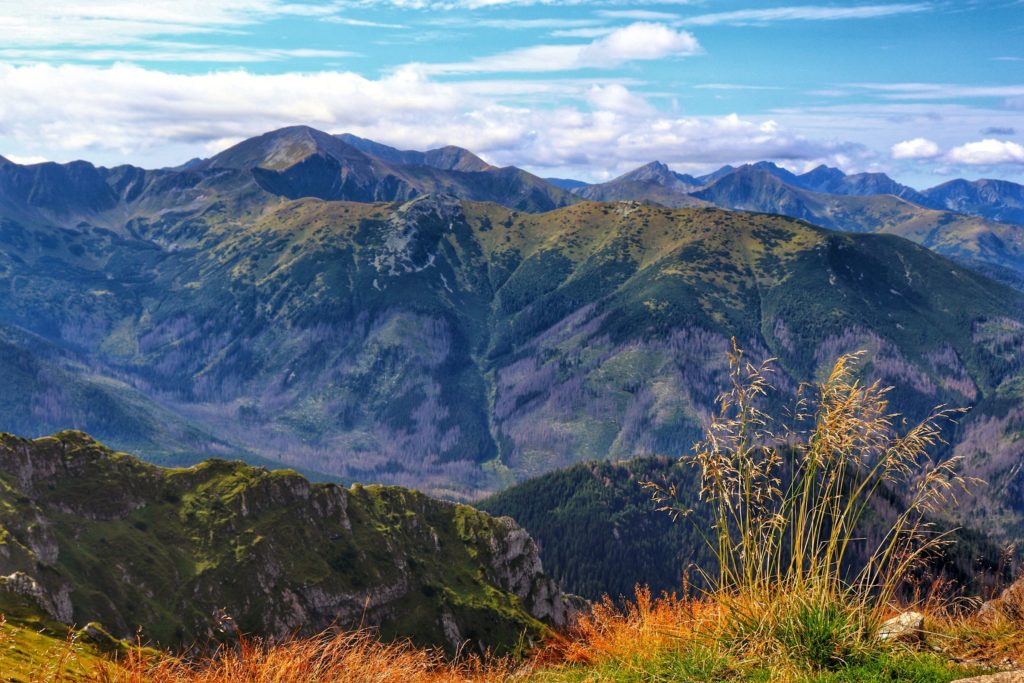 Krajobraz rozciągający się z Twardej Kopy na tatrzańskie szczyty, jesień