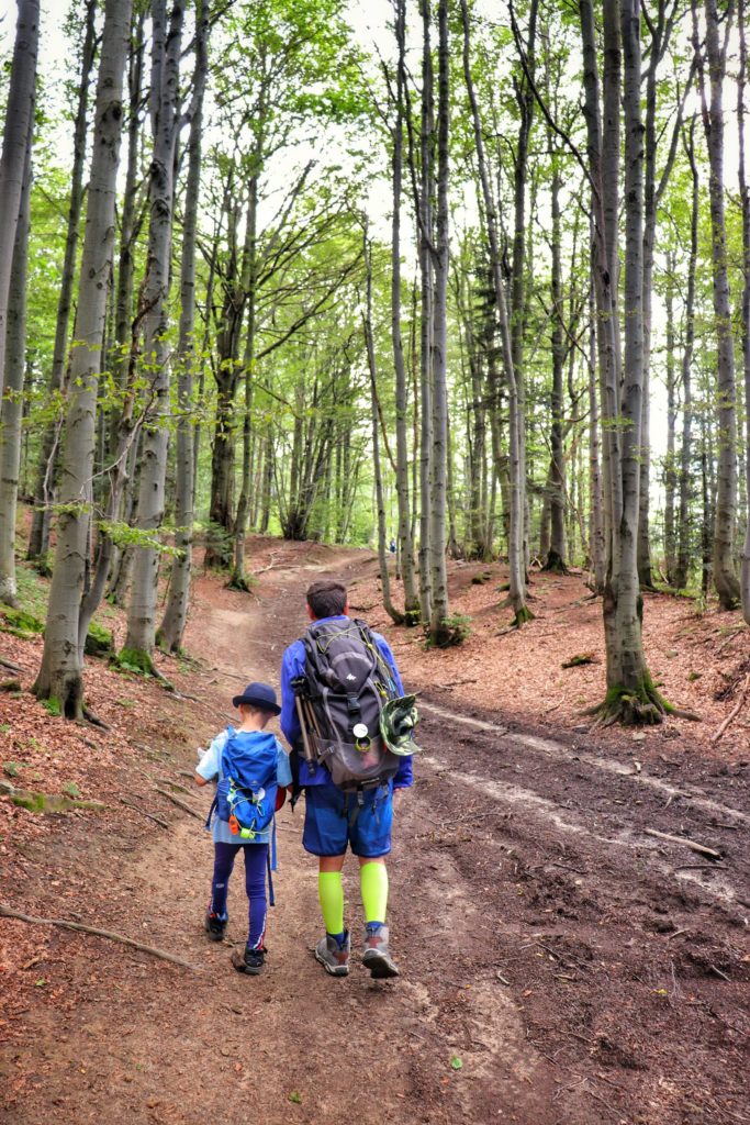 Szeroka droga leśna na czerwonym szlaku idącym do Przełęczy Bukowina, turysta z dzieckiem