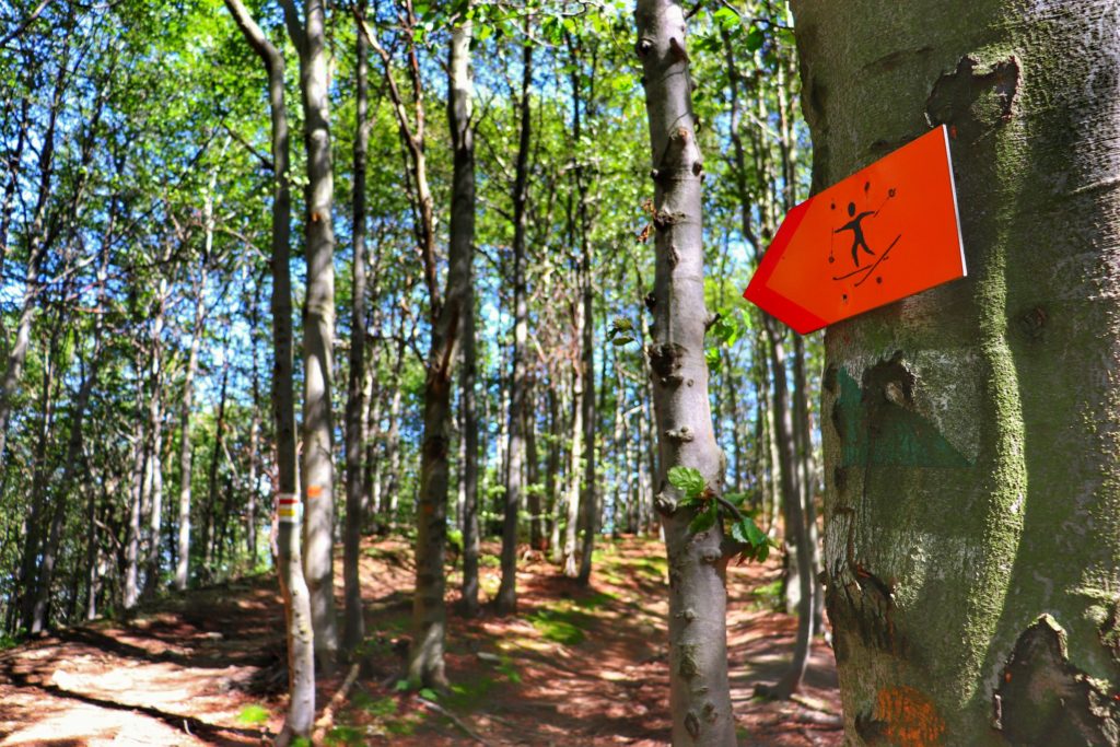 Leśna ścieżka, szlak czerwony i żółty w Beskidzie Sądeckim, turystyczny szlak narciarski