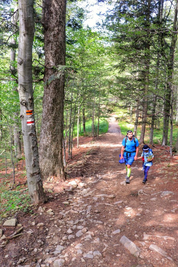 Turysta z dzieckiem idący stromo w górę czerwonym szlakiem w stronę Przełęczy Bukowina
