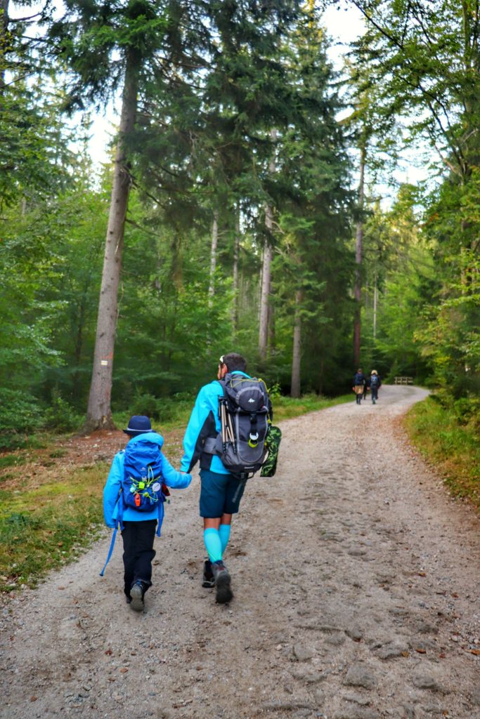 Turysta z dzieckiem idący szeroką drogą leśną w Karkonoszach - żółty szlak do Schroniska pod Łabskim Szczytem