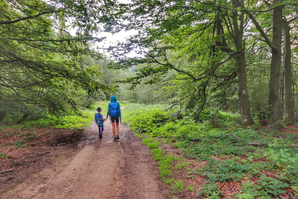 Turystka z dzieckiem na czerwonym szlaku na Halę Łabowską, leśna, niewymagająca ścieżka