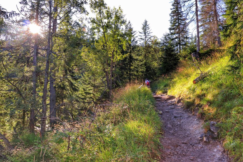 Wąska ścieżka leśna w Tatrach Polskich, piękny, słoneczny poranek
