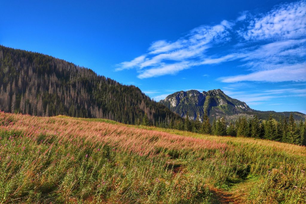 Polana Upłaz w Tatrach Zachodnich, widok na Kominiarski Wierch (1829 m n.p.m.), wrześniowe przedpołudnie