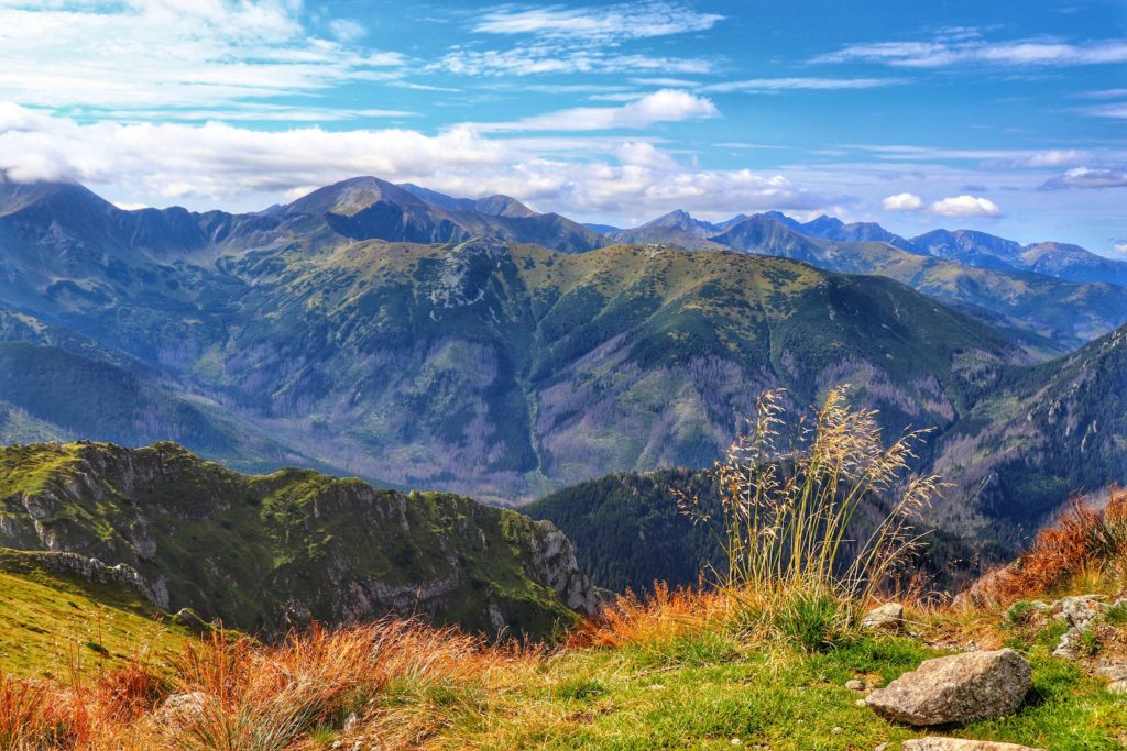 Widok na tatrzańskie szczyty z okolic Twardej Kopy w Tatrach Zachodnich, jesienne barwy
